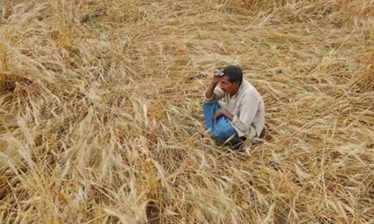 జగన్ సర్కారు మొద్దు నిద్ర జగన్ సర్కారు మొద్దు నిద్ర