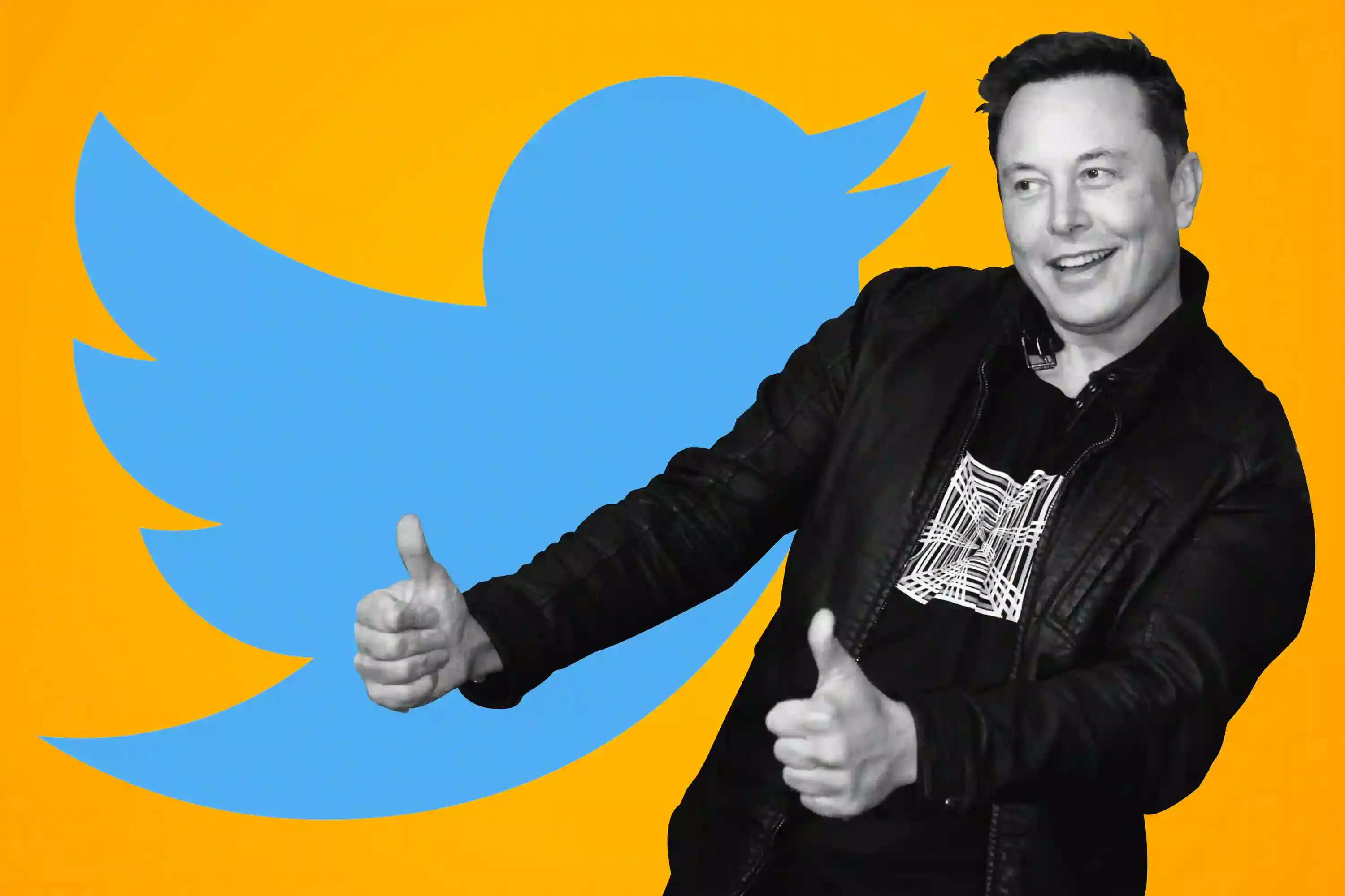 Elon Musk : ట్విట్టర్ లో నయా ఫీచర్... త్వరలో ఆడియో, వీడియో కాల్స్