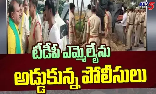 ఎమ్మెల్యే రామానాయుడుకు పోలీసులకు మధ్య వాగ్వాదం