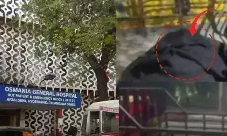 అంత్యక్రియలకు డబ్బులేక.. ముక్కలు ముక్కలుగా కోసి