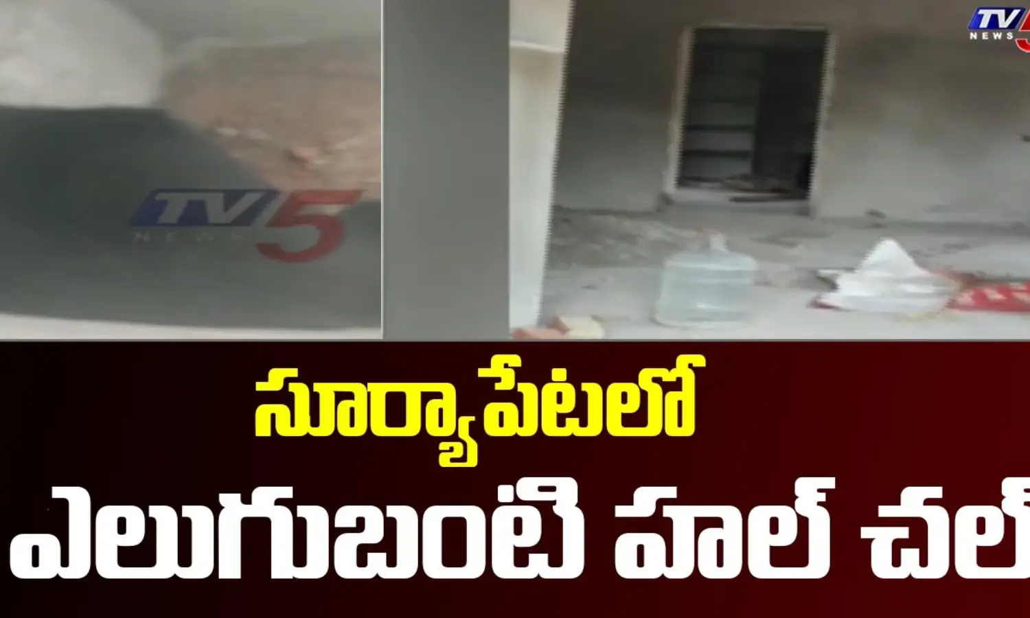 సూర్యాపేటలో ఎలుగుబంటి కలకలం సూర్యాపేటలో ఎలుగుబంటి కలకలం
