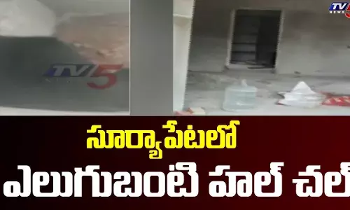 సూర్యాపేటలో ఎలుగుబంటి కలకలం