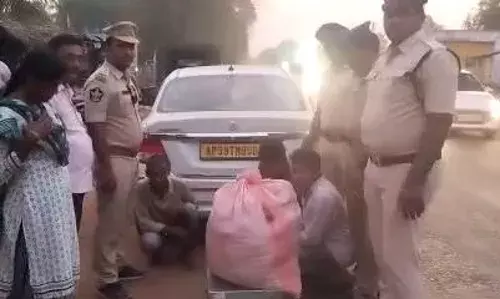 అనపర్తిలో 25కిలోల గంజాయి పట్టివేత