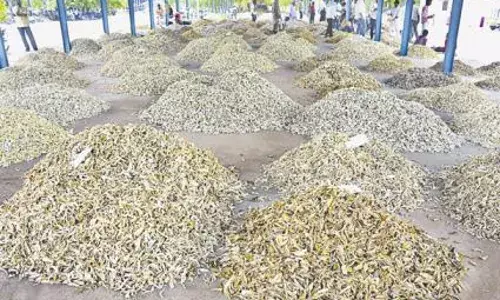 నిజామాబాద్‌ మార్కెట్‌లో దగా పడుతున్న రైతు