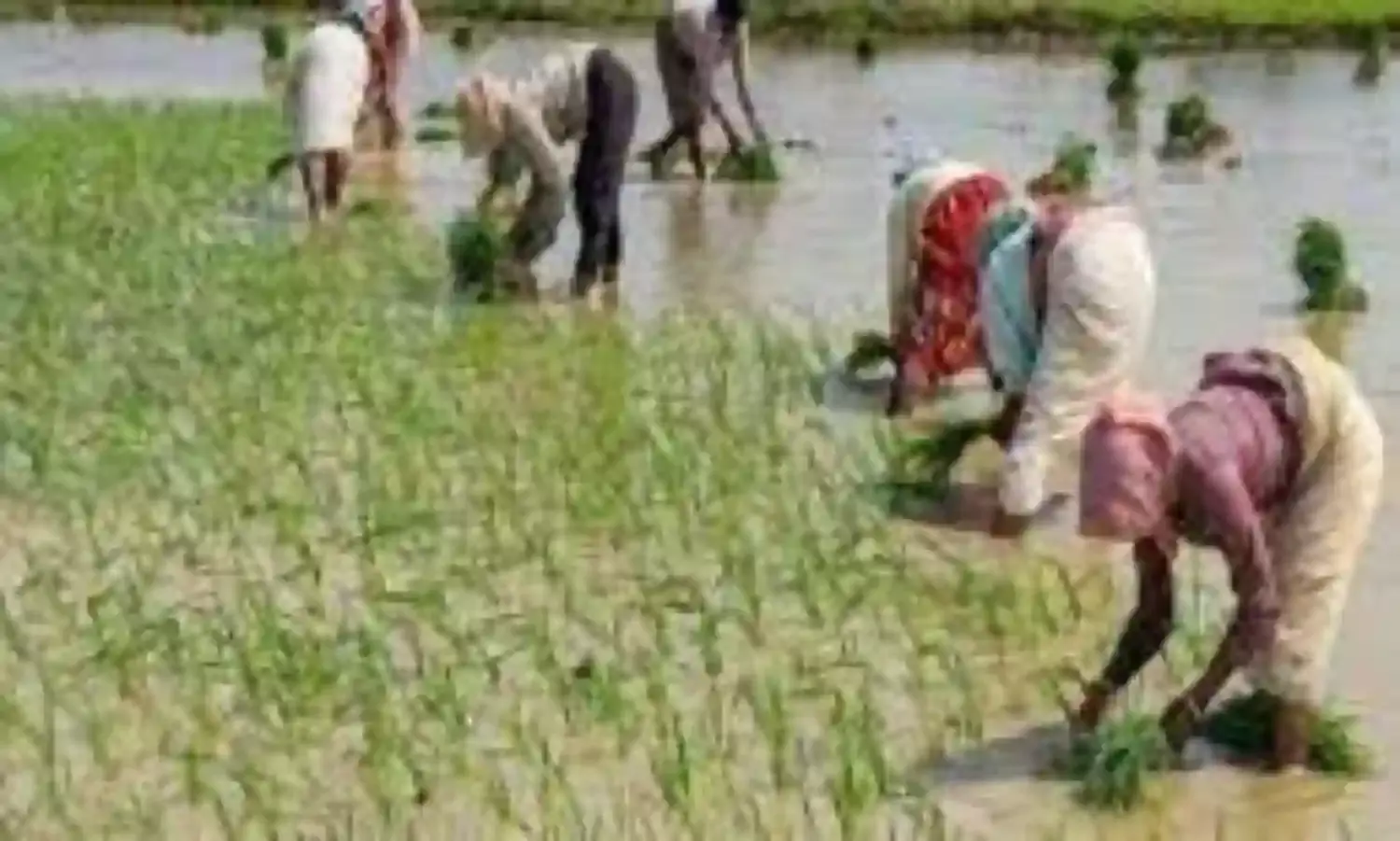 బావురుమంటోన్న రైతన్న బావురుమంటోన్న రైతన్న