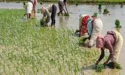 బావురుమంటోన్న రైతన్న