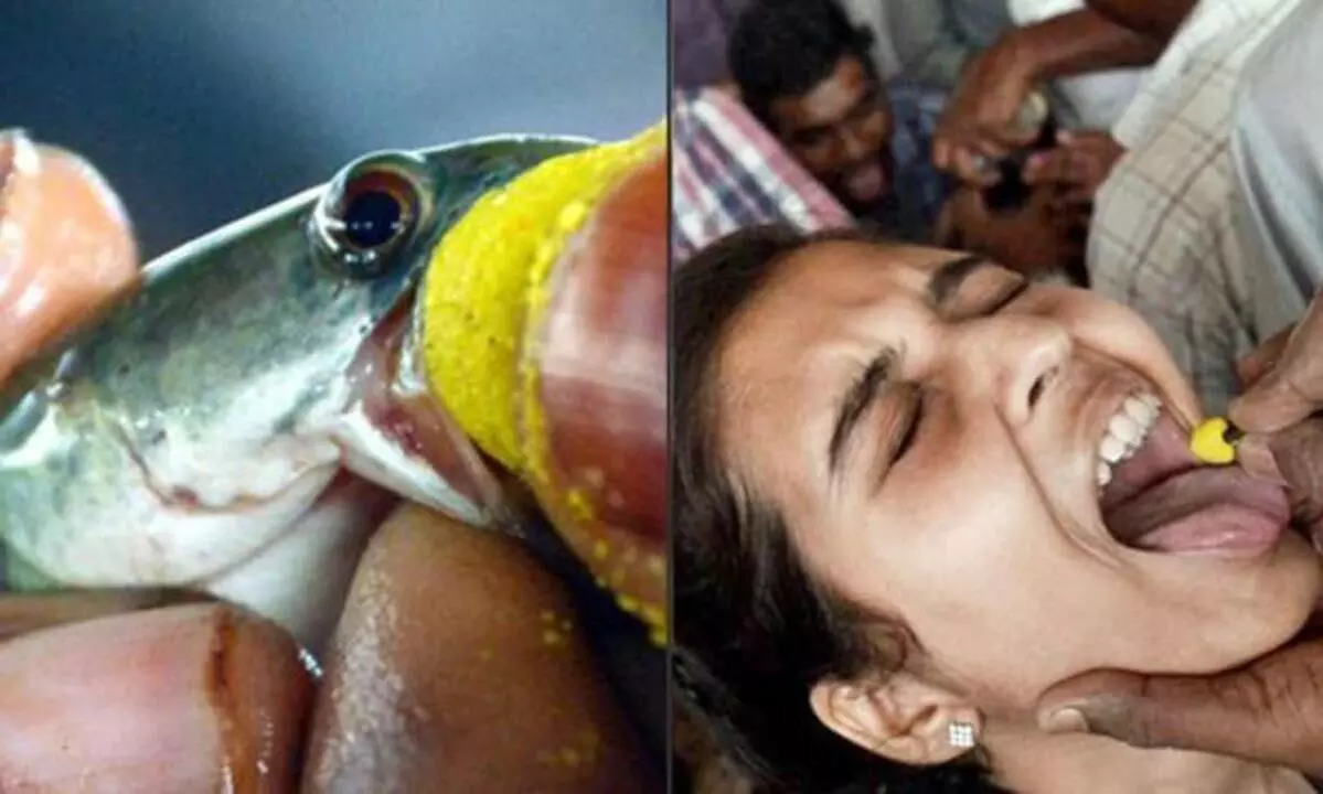 జూన్ 9న గ్జిబిషన్ గ్రౌండ్స్లో చేప మందు పంపిణీ జూన్ 9న గ్జిబిషన్ గ్రౌండ్స్లో చేప మందు పంపిణీ