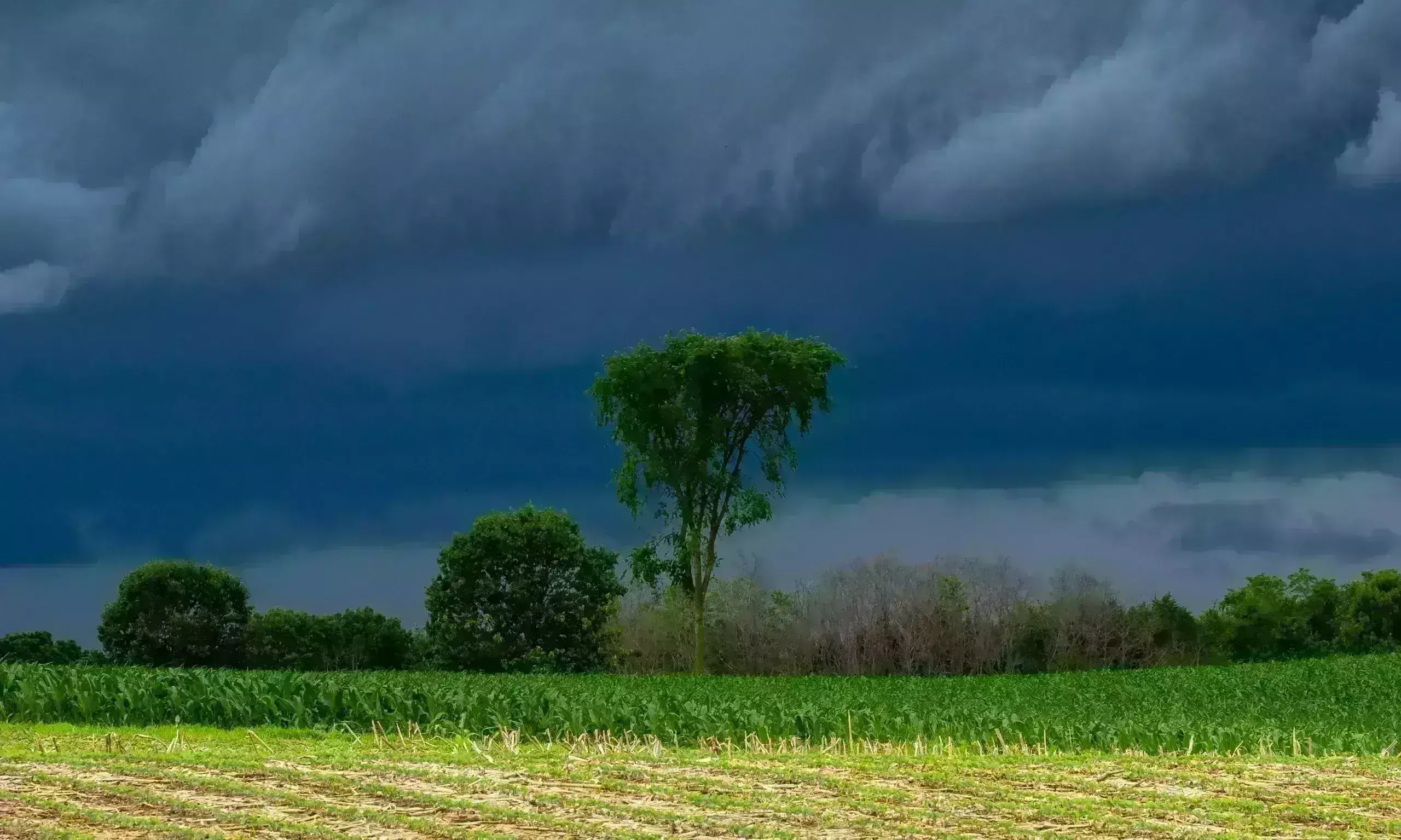 రుతు పవనాల రాక.. అప్పుడేనట! రుతు పవనాల రాక.. అప్పుడేనట!
