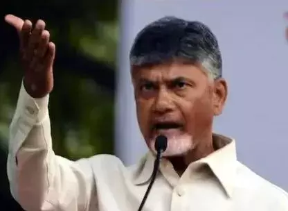 చంద్రబాబు చిత్ర పటానికి ధాన్యంతో అభిషేకం