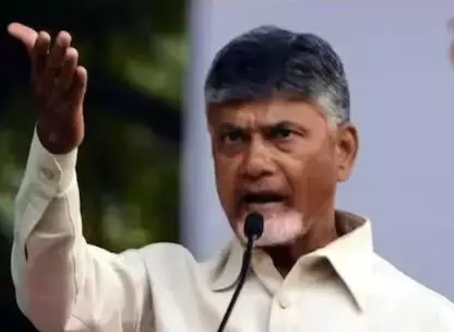 చంద్రబాబు చిత్ర పటానికి ధాన్యంతో అభిషేకం చంద్రబాబు చిత్ర పటానికి ధాన్యంతో అభిషేకం