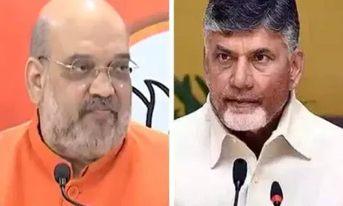 ఢిల్లీకి చంద్రబాబు.. అమిత్ షాతో మీటింగ్