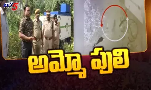 గురజాలలో చిరుత సంచారం.. భయాందోళనలో ప్రజలు గురజాలలో చిరుత సంచారం.. భయాందోళనలో ప్రజలు