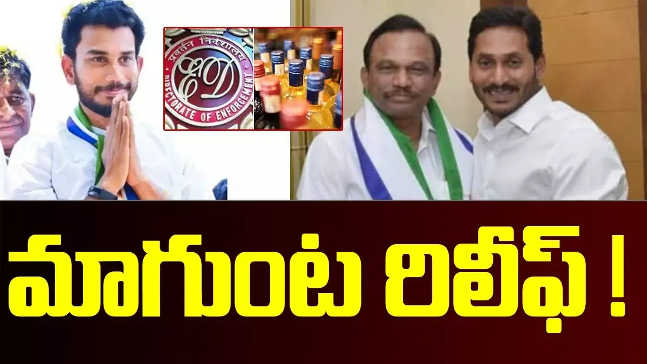 లిక్కర్ స్కాంలో మాగుంటకు బెయిల్ లిక్కర్ స్కాంలో మాగుంటకు బెయిల్