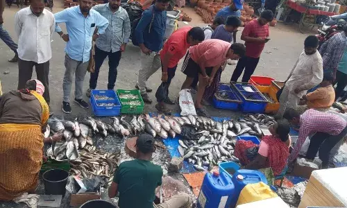 మృగశిర కార్తీ.. చేపల కోసం ఎగబడ్డ భాగ్యనగరవాసులు