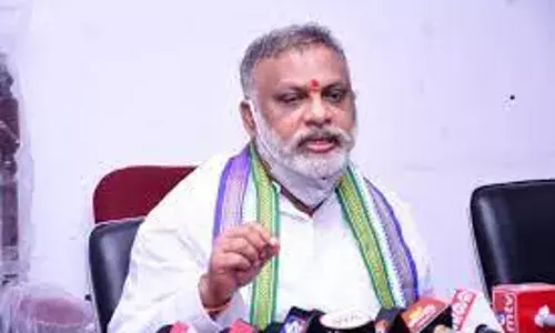 కర్నూలు వైసీపీలో సీతయ్య..?