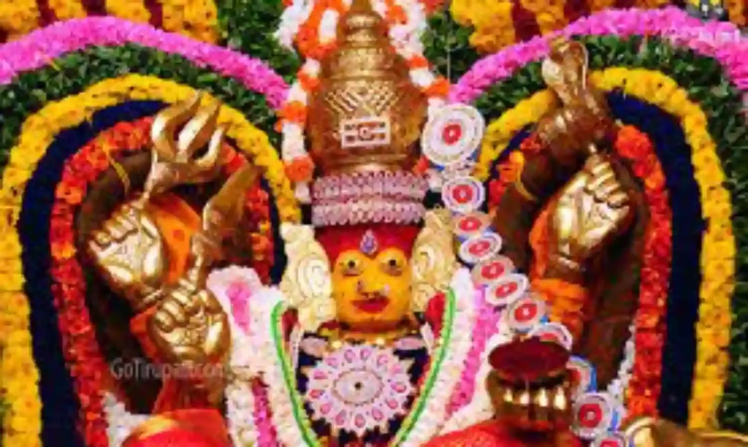 గంగమ్మతల్లి జాతరకు భారీగా భక్త జనం గంగమ్మతల్లి జాతరకు భారీగా భక్త జనం