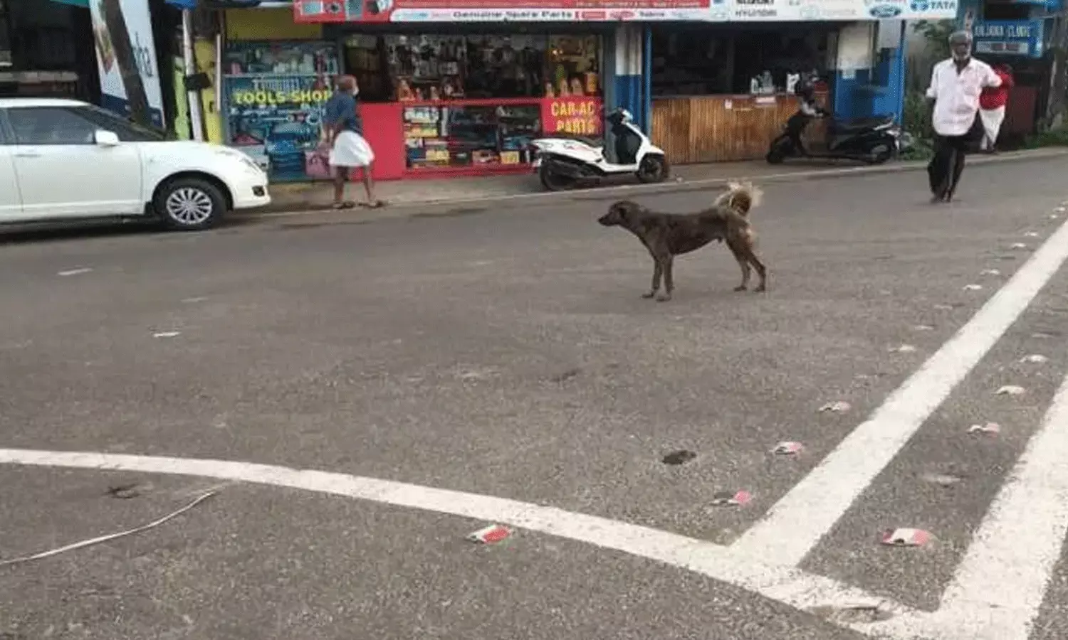 వీధి కుక్కల బీభత్సం.. మూడేళ్ల చిన్నారిపై దాడి