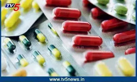 Hyderabad: ఔషధ గోడౌన్‌లో సోదాలు