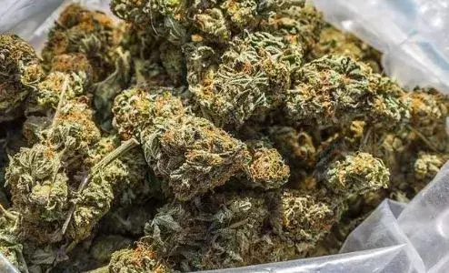 ఖమ్మంలో గంజాయి రవాణా చేస్తున్న వ్యక్తి అరెస్ట్