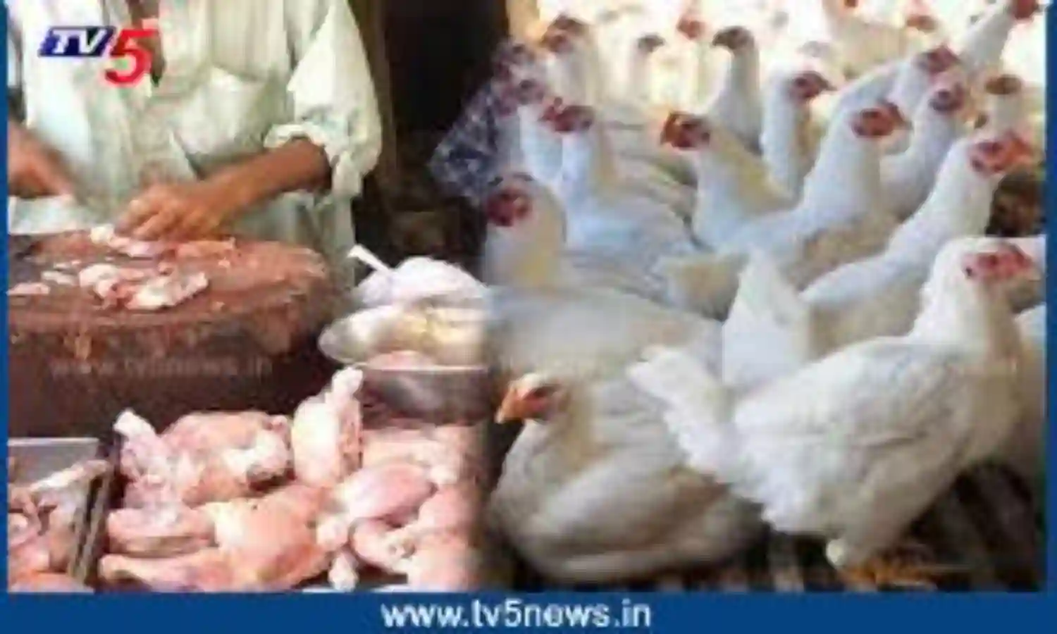 కొండెక్కిన కోడి ధర.. కొండెక్కిన కోడి ధర..
