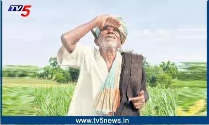 చినుకు రాక అల్లాడుతున్న రైతులు