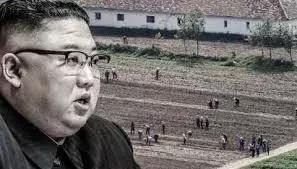 ఉత్తర కొరియాలో ఆకలి చావులు