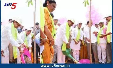 ఉద్యమంలా.. 9వ విడత హరితహారం