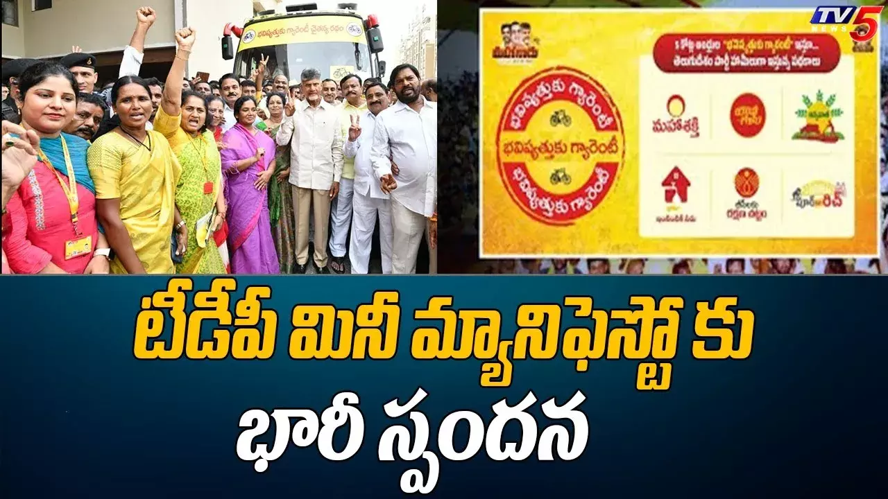 టీడీపీ మినీ మేనిఫెస్టోకు భారీ స్పందన