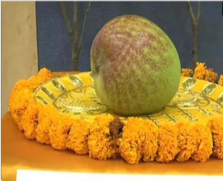 మియాజాకీనా మాజాకా..! తినాలంటే ఆస్తులు అమ్మాల్సిందే మియాజాకీనా మాజాకా..! తినాలంటే ఆస్తులు అమ్మాల్సిందే