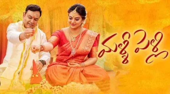 OTT లోకి మళ్లీ పెళ్లి..! OTT లోకి మళ్లీ పెళ్లి..!