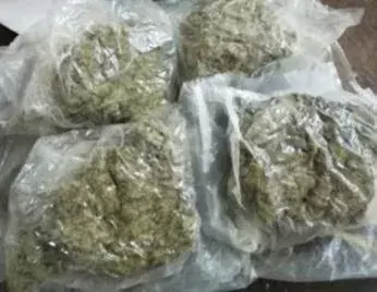 గంజాయి ముఠా ఎత్తులకు అబ్కారీ శాఖ పై ఎత్తులు గంజాయి ముఠా ఎత్తులకు అబ్కారీ శాఖ పై ఎత్తులు