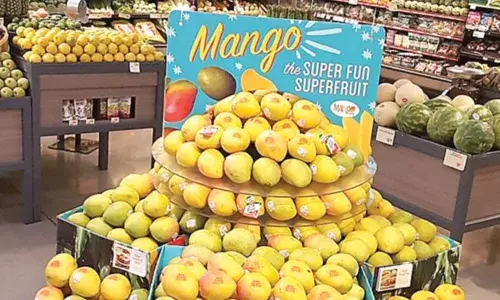 పళ్ళకోసం పళ్ళు రాలిపోయేలా కొట్టుకున్నారు