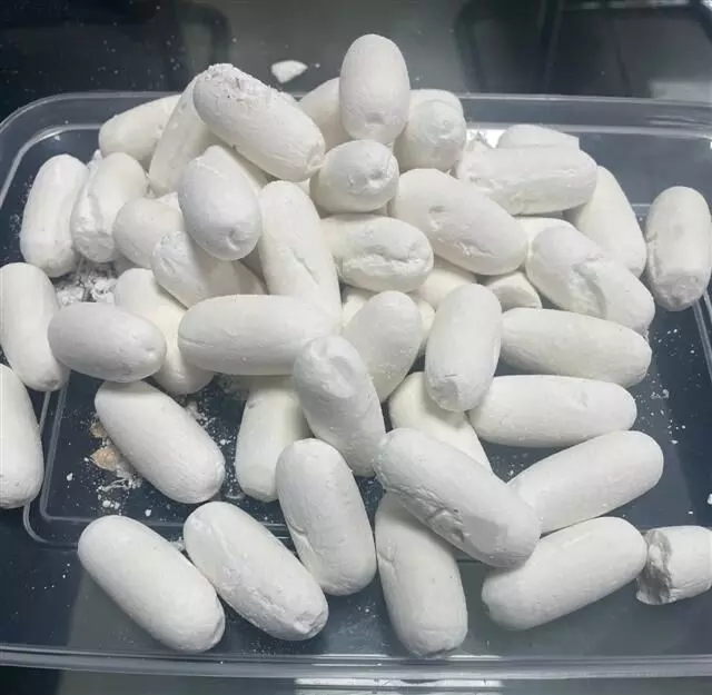 Ccocaine: కడుపులో కోకైన్ Ccocaine: కడుపులో కోకైన్
