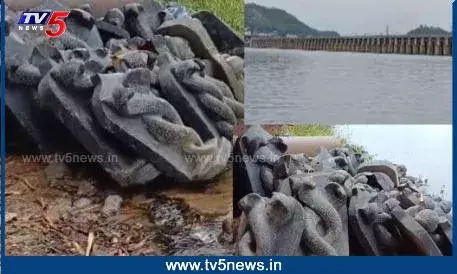 Guntur: కృష్ణా నదిలో బయటపడ్డ నాగ ప్రతిమలు