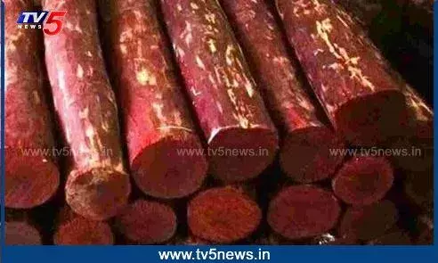 Sheshachalam: పట్టుబడ్డ ఎర్రచందనం అమ్మకానికి కేంద్రం అనుమతి