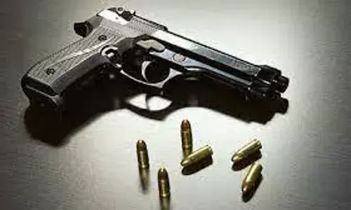 Andhra Pradesh: తుపాకులు కావాలంటున్న నాయకులు