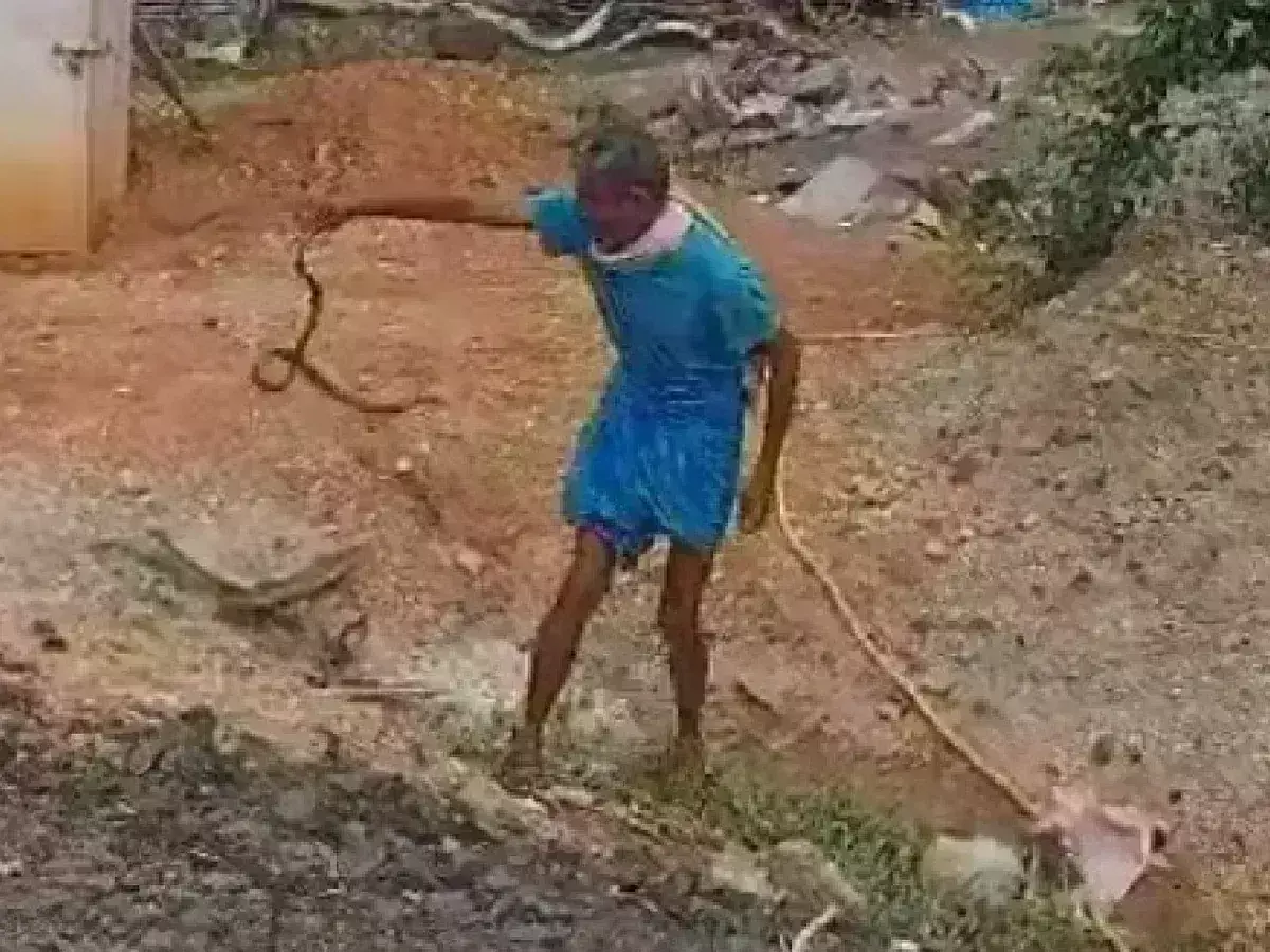 Karnataka :పాము కాటుకి చచ్చి బతికాడు Karnataka :పాము కాటుకి చచ్చి బతికాడు