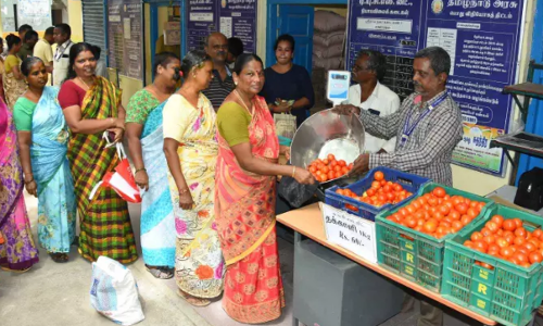 TOMATO: ప్రభుత్వ దుకాణాల్లో టమాటాల విక్రయం