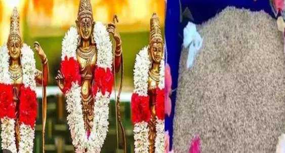 గోటి తలంబ్రాల సాగు ప్రారంభం