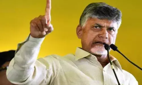 ఓటర్‌ జాబితా  అక్రమాలపై  టీడీపీ సీరియస్