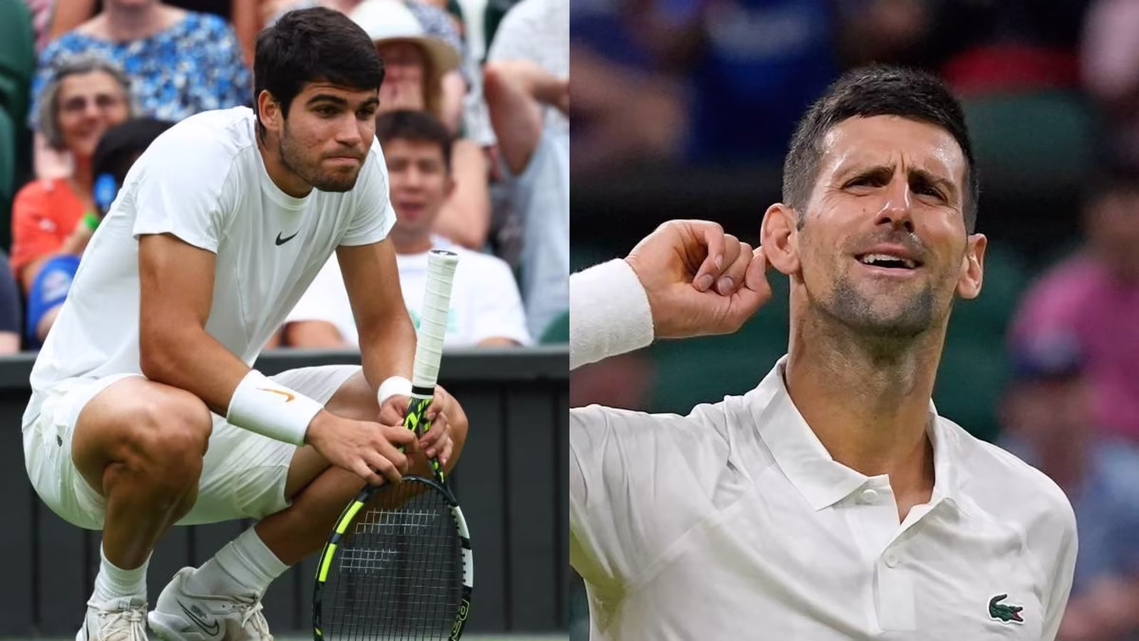 Wimbledon: క్వార్టర్స్కి చేరిన జకోవిచ్, అల్కాజార్ Wimbledon: క్వార్టర్స్కి చేరిన జకోవిచ్, అల్కాజార్