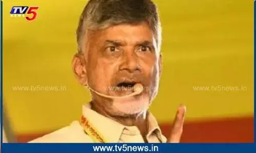 TDP: దొంగ ఓట్ల అక్రమాలపై.. యాక్షన్‌ ప్లాన్‌
