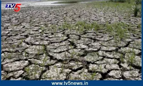 ELININO: ఏడేళ్ల తర్వాత..ఎల్‌నినో