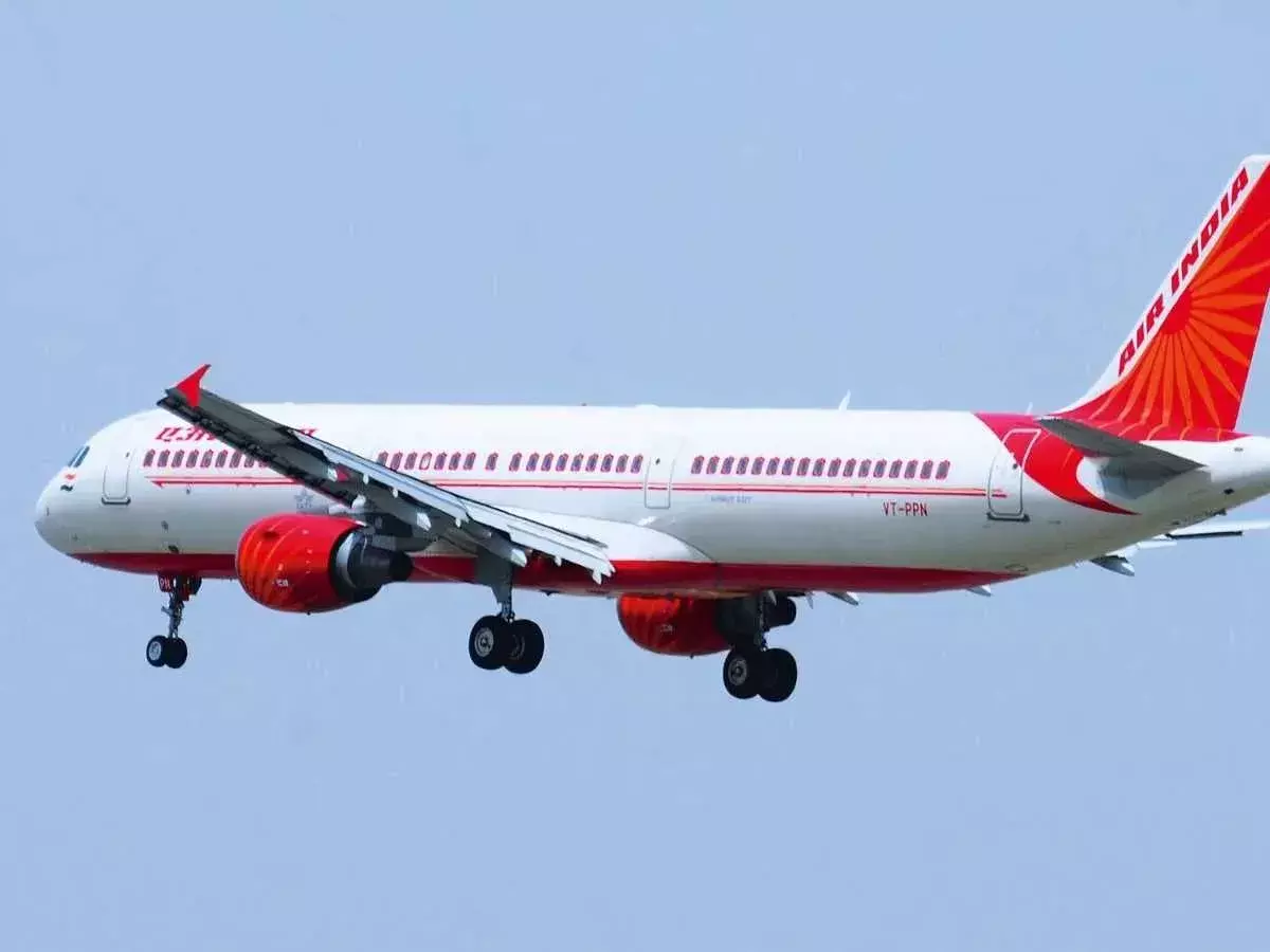 AIR INDIA: విమానంలో నేపాల్‌ జాతీయుడి రచ్చ