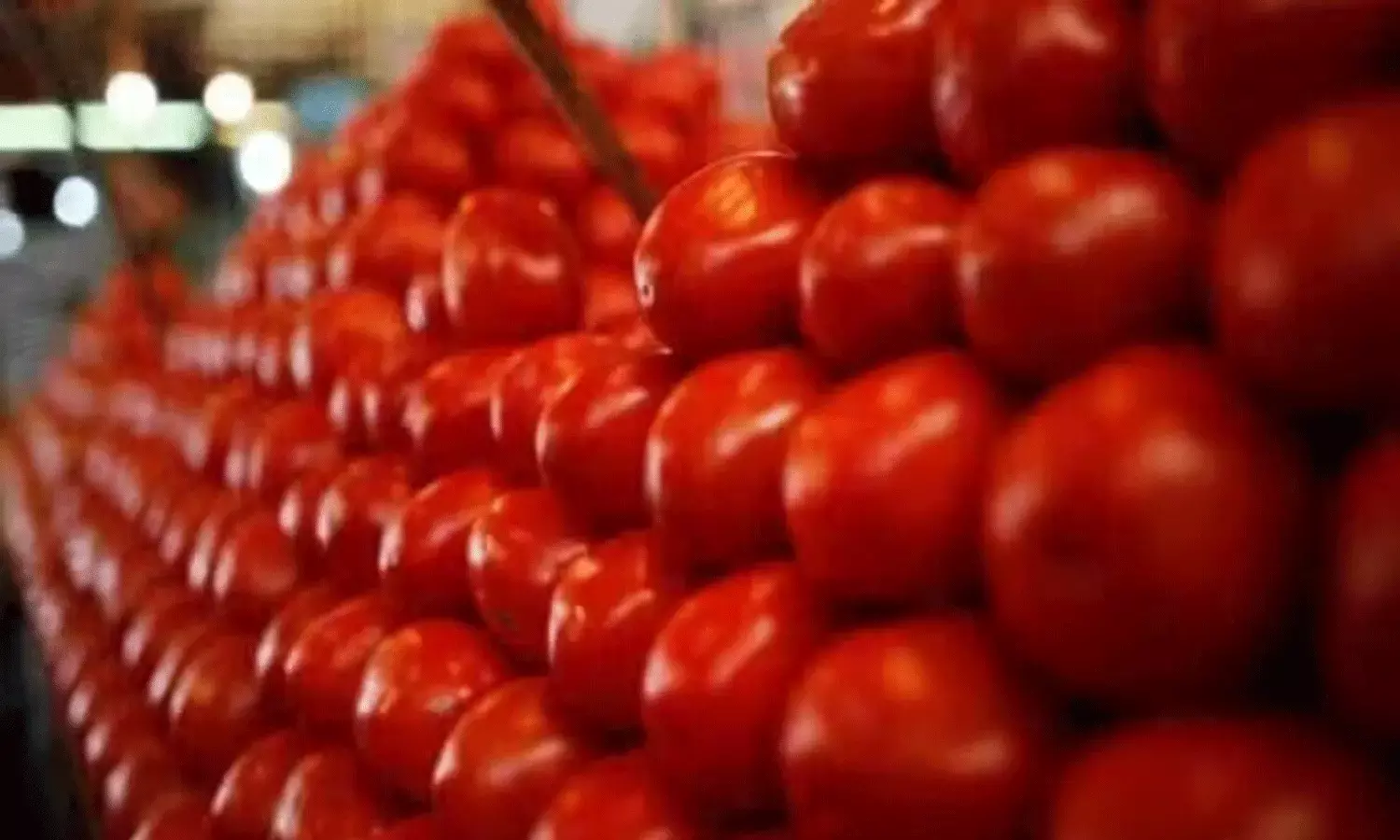 దొంగలు పడ్డారు.. టమాటాలు దోచుకెళ్లారు..