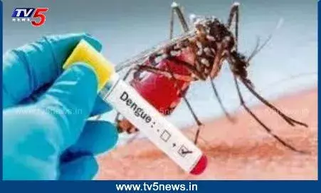 Vizag: పెరుగుతున్న డెంగ్యూ నేసులు..