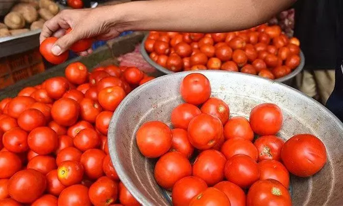 Maharashtra: టమాటాలు అమ్మి రూ.కోటిన్నర సంపాదించాడు Maharashtra: టమాటాలు అమ్మి రూ.కోటిన్నర సంపాదించాడు