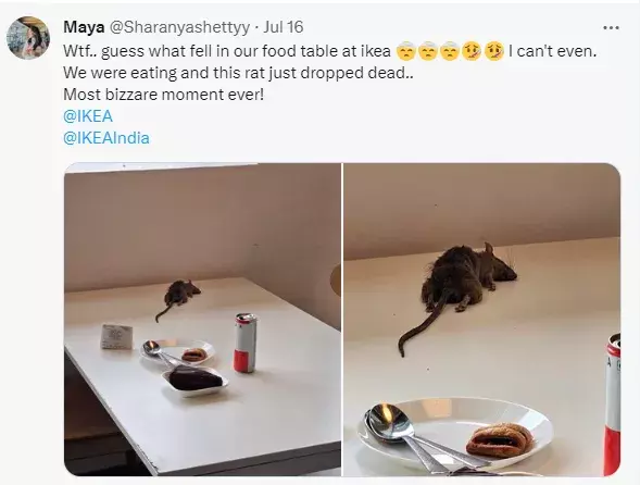 Ikea : స్నాక్స్ తింటుండగా పైనుంచి పడిన ఎలుక