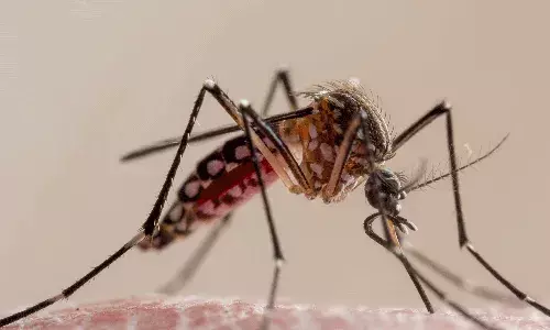 వర్షాకాలంలో వైరల్ ఫీవర్లు.. డెంగ్యూ నుండి సురక్షితంగా ఉండాలంటే..