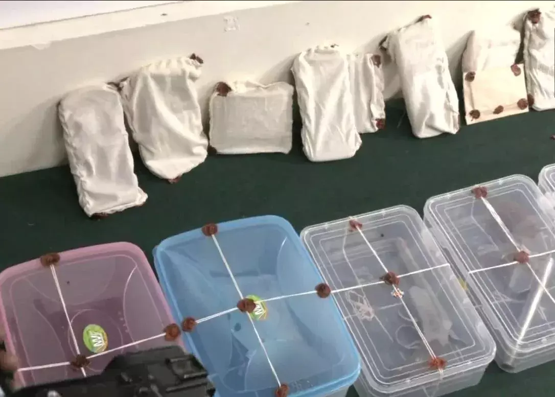 Terror Suspects: భారీ ఉగ్ర కుట్ర భగ్నం.. అయిదుగురు అరెస్ట్ Terror Suspects: భారీ ఉగ్ర కుట్ర భగ్నం.. అయిదుగురు అరెస్ట్